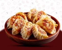 E15 Goyoza Poulet/Legume