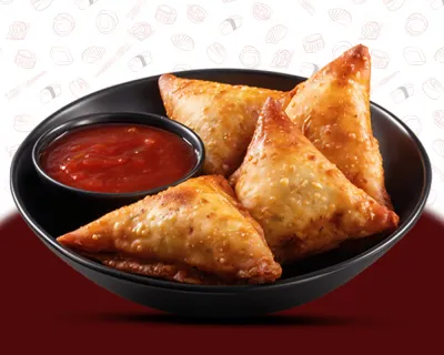 E19 Samusa Poulet/Boeuf